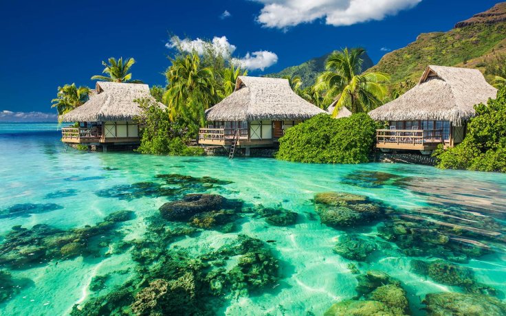 Ado Tahiti Dating Site